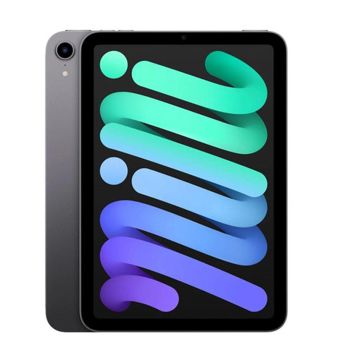 Apple - iPad mini Wi-Fi - 256GO - Gris sidéral (6ème génération 2021) Apple - Bonnes affaires Tablette tactile