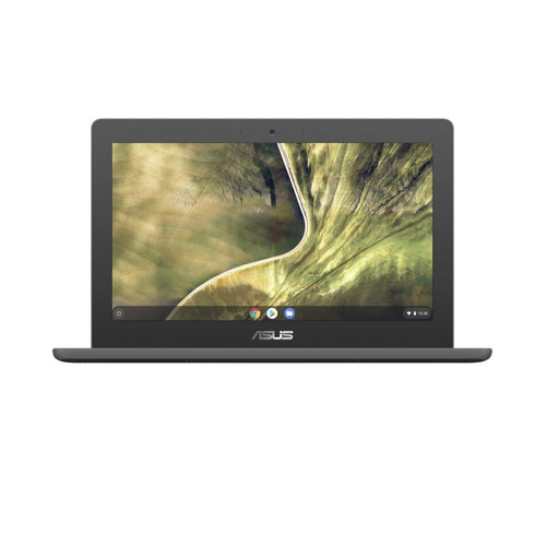 Asus - ASUS Chromebook C204MA-GJ0342 Asus - Bonnes affaires Chromebook
